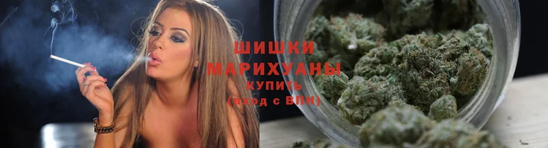 Марихуана Amnesia  где можно купить наркотик  Белореченск 